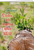 Quelle: https://thomasverlag.de/produktschlagwort/jahreslosung-2026/